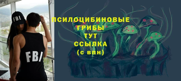 кокс Елизово