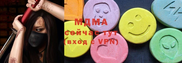 дживик Ельня