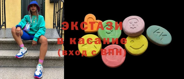 дживик Ельня