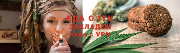 дживик Ельня