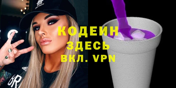 дживик Ельня