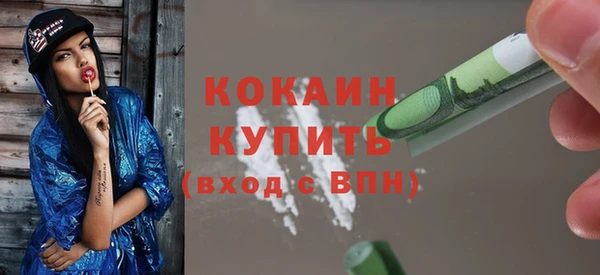 кокс Елизово