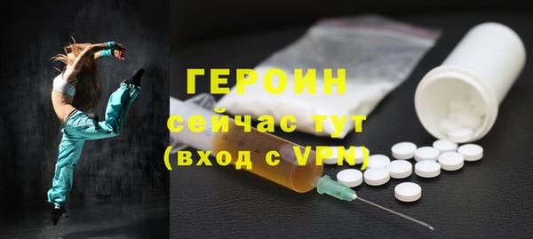 дживик Ельня