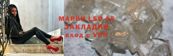 дживик Ельня