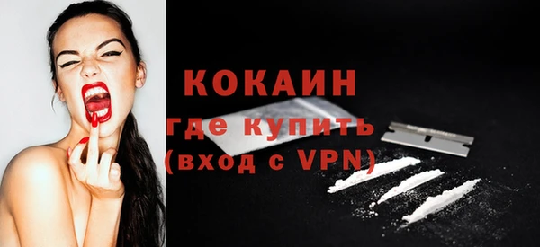 кокс Елизово