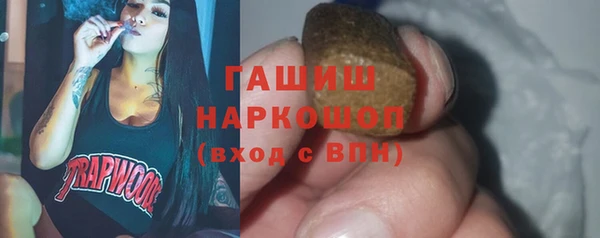 дживик Ельня