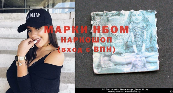 дживик Ельня