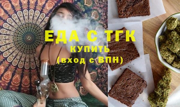 дживик Ельня