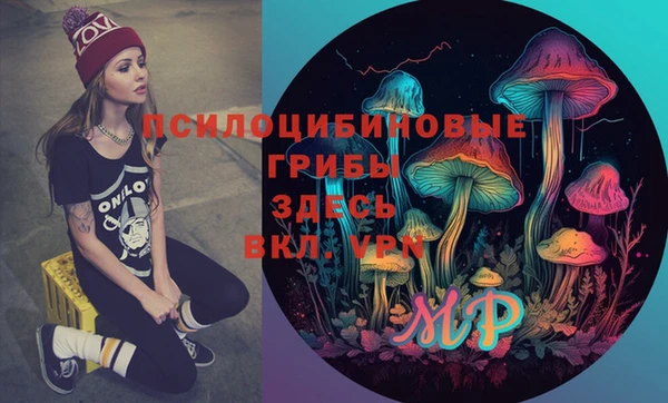 дживик Ельня