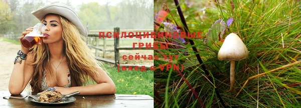 дживик Ельня