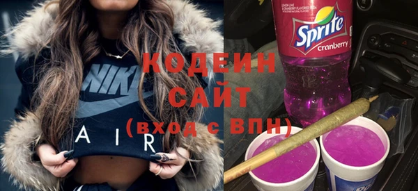 дживик Ельня
