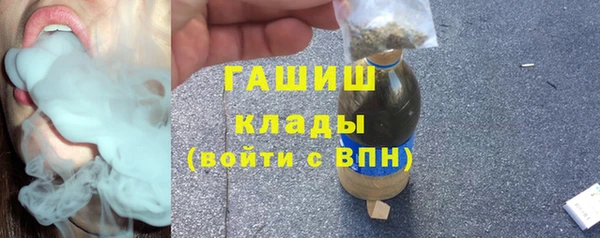 дживик Ельня