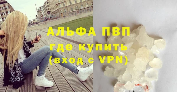 дживик Ельня