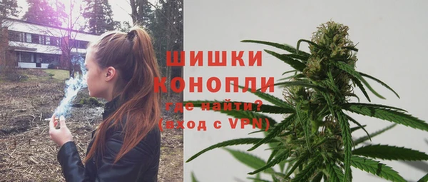 кокс Елизово