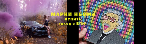 дживик Ельня
