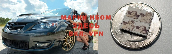 кокс Елизово