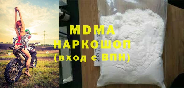 дживик Ельня