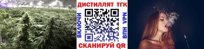 Купить где  Егорьевск  Дистиллят ТГК концентрат 