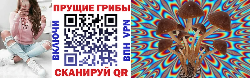 Псилоцибиновые грибы GOLDEN TEACHER  Купить  Егорьевск 